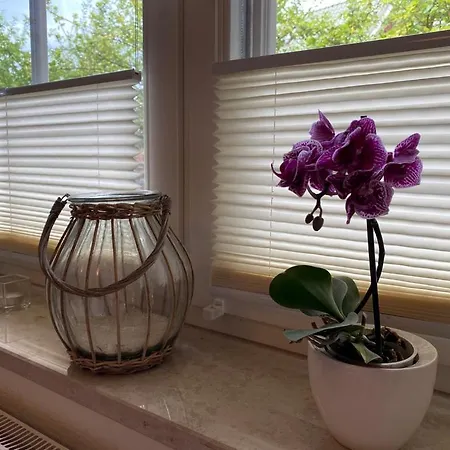 Appartamento Haus Jenny E1 Mit Terrasse Boltenhagen (Ostseebad)