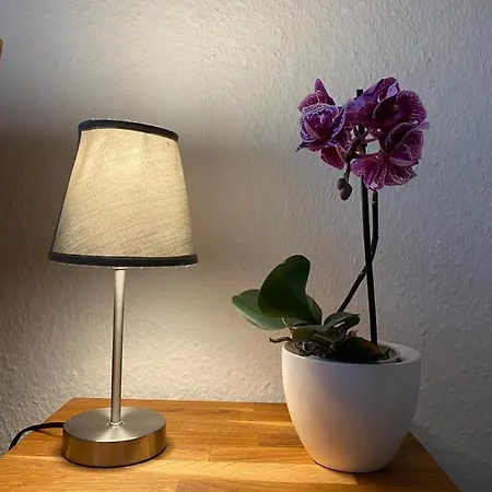 Haus Jenny E1 Mit Terrasse Appartamento *